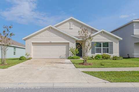 Autumn Amber, SPRING HILL, FL 34609