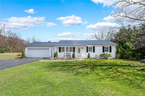 Grove City, SLIPPERY ROCK, PA 16057
