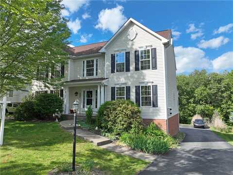 Luke, CRANBERRY TOWNSHIP, PA 16066