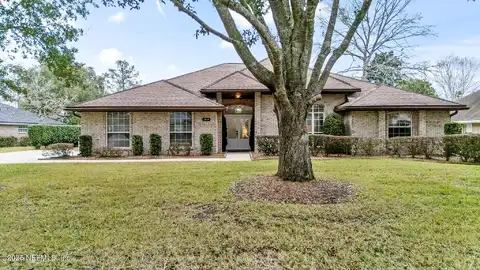 Royal Fern, FLEMING ISLAND, FL 32003