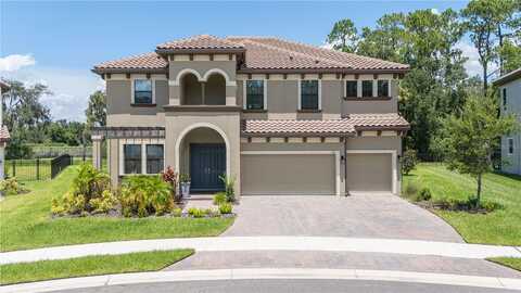 Mossy River, BRANDON, FL 33511