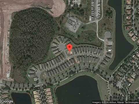 Palm Tree, KISSIMMEE, FL 34759
