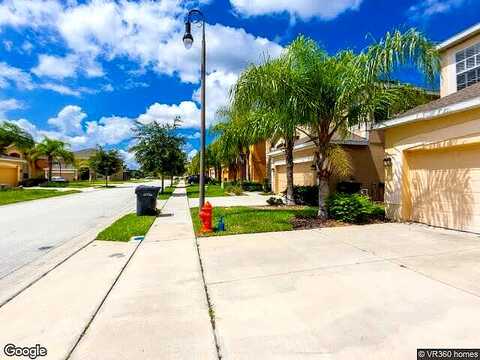 Orange Cosmos, DAVENPORT, FL 33837