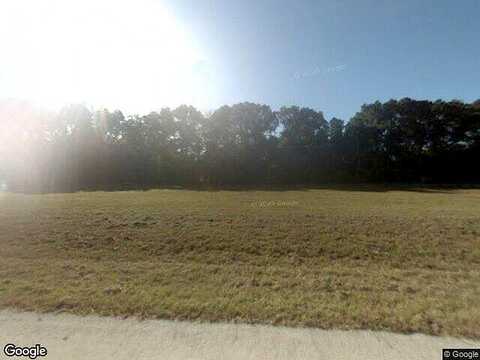 160Th, CITRA, FL 32113
