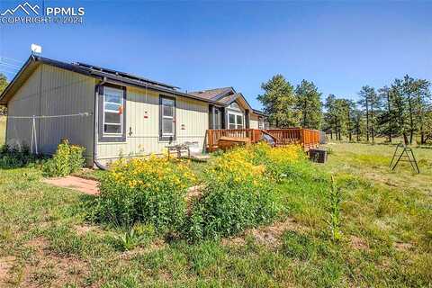 Hackamore, FLORISSANT, CO 80816
