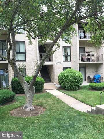 Edsall, ALEXANDRIA, VA 22304