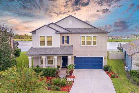 Shadyside, LAND O LAKES, FL 34637