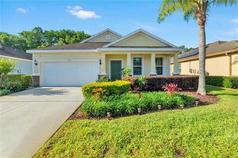 Merganser, NEW PORT RICHEY, FL 34654