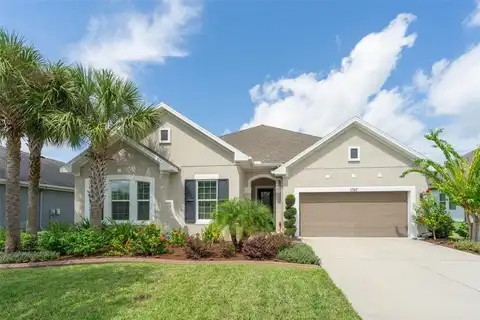 Tonka, WESLEY CHAPEL, FL 33543