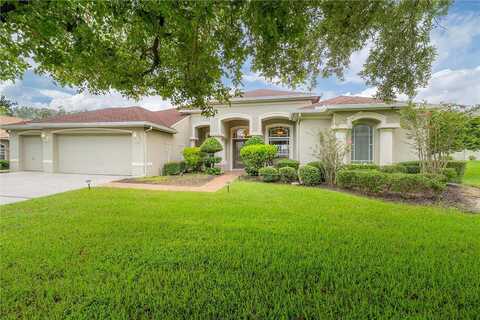 Thoroughbred, DADE CITY, FL 33525