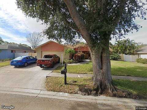 Lake Valencia, PALM HARBOR, FL 34684