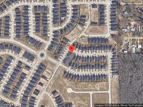 Tree Of Heaven, CONROE, TX 77385