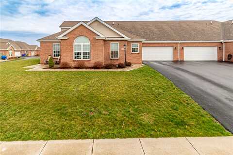 Essex, EVANS CITY, PA 16033