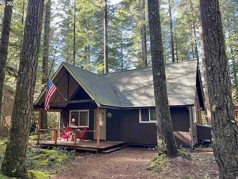 Cabin 65 Northwoods, Cougar, WA 98616