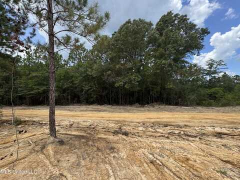 00 Joshua Road, McHenry, MS 39561