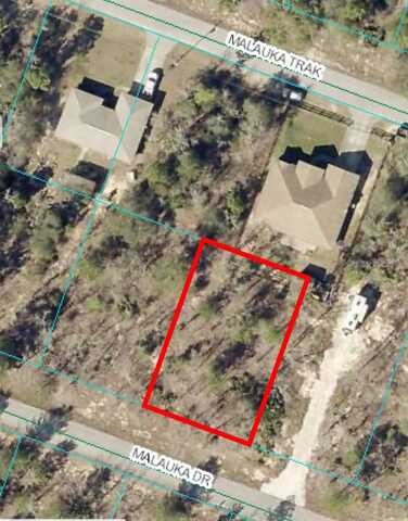 00 MALAUKA DRIVE, OCKLAWAHA, FL 32179
