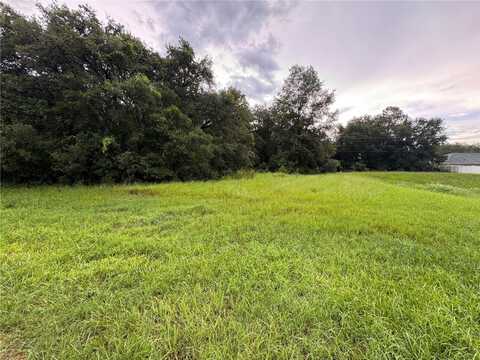 SW 142ND PLACE ROAD, OCALA, FL 34473