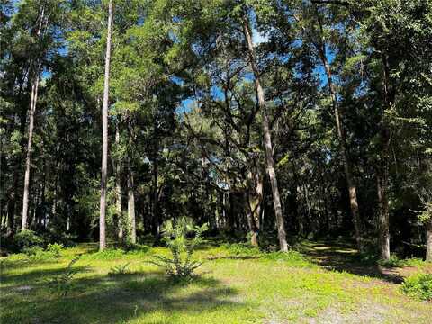 Tbd LAKE VIEW DRIVE W, OCALA, FL 34482