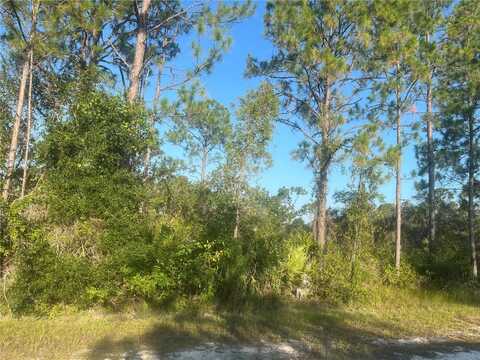 0 COLUMBUS DRIVE, INDIAN LAKE ESTATES, FL 33855
