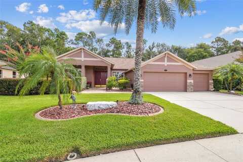 16108 IVY LAKE DRIVE, ODESSA, FL 33556