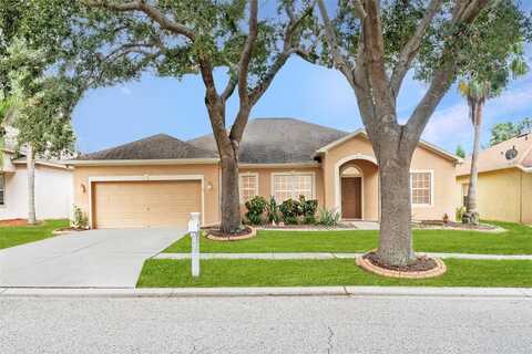 10903 WILDCAT DRIVE, RIVERVIEW, FL 33579