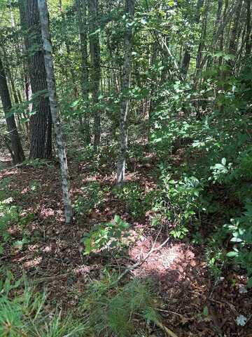 0 RJ Mountain View Drive, MURPHY, NC 28906