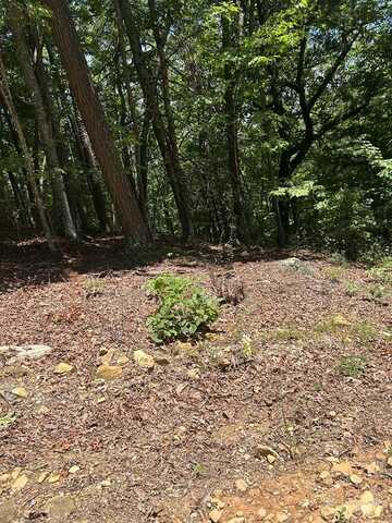 0 Skyview Acres Drive, MURPHY, NC 28906