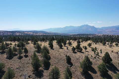 TL 2400 Wiley Creek Road, Mount Vernon, OR 97865