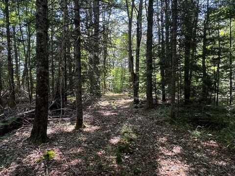 Lot 30-a Hollin Waite Hill Road, Anson, ME 04911