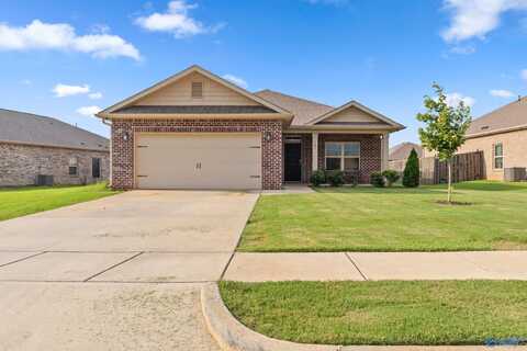 107 Sunlit Grove Drive, Harvest, AL 35749