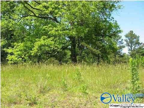 3 & 4 Mitchell Avenue, Albertville, AL 35950