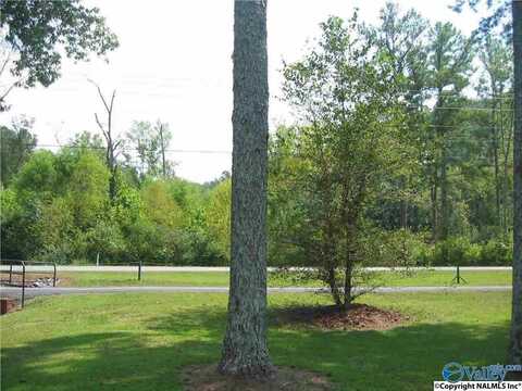 9 Sunset Drive, Guntersville, AL 35976