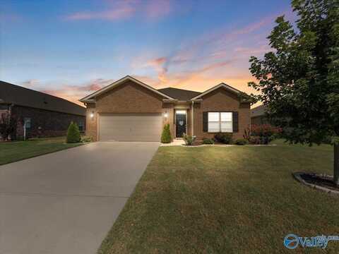 16182 Glenncrest Lane, Harvest, AL 35749