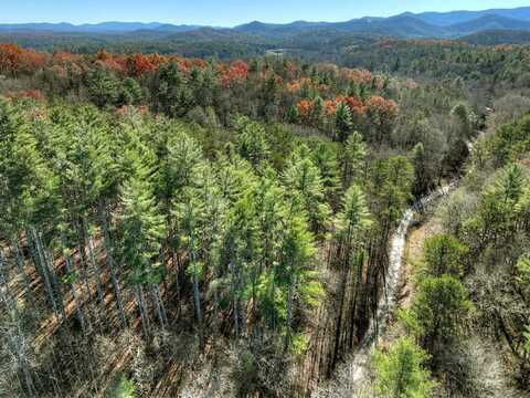 15.46 Dunn Mill Creek Road, Blue Ridge, GA 30513