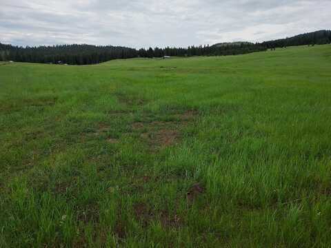 37 OLD RANCH HOUSE ROAD (LOT 1 ), REPUBLIC, WA 99166