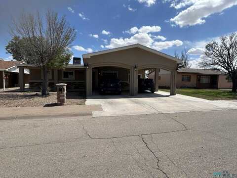 1507 W Bush Avenue, Artesia, NM 88210