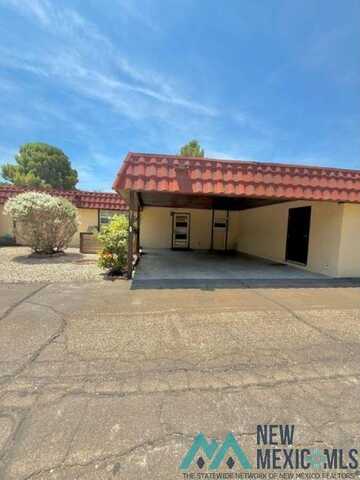 1303 N Canal #27 Street, Carlsbad, NM 88220