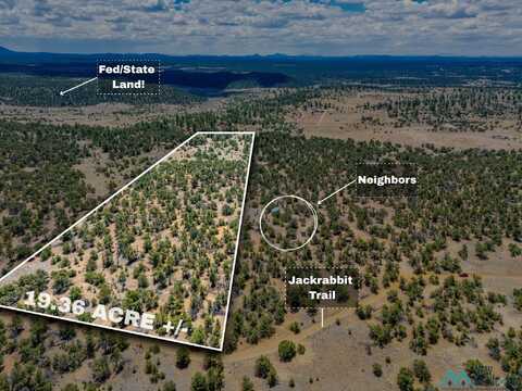 Lot 9 Jackrabbit Trail, Pinehill, NM 87357
