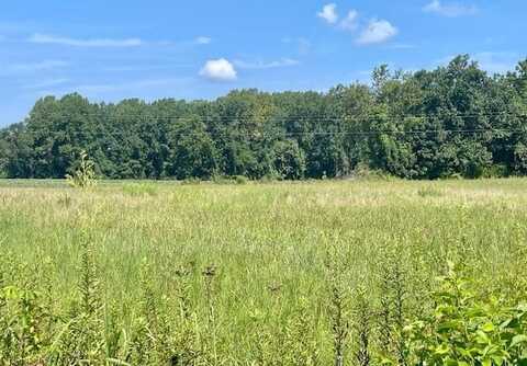 Lot 2 Coan Stage Road, Heathsville, VA 22473