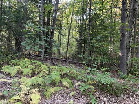 21 Quimby Drive, Northwood, NH 03261