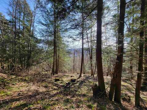 1890-B Bristol Road, Monkton, VT 05469