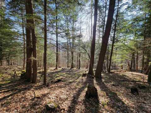 1890-A Bristol Road, Monkton, VT 05469