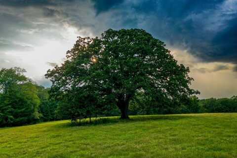 0000 tom eubanks rd, Gladewater, TX 75647