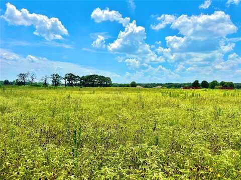 Tbd Tract 24 County Rd 3644, Pickton, TX 75471