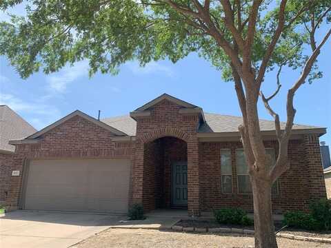 940 Lake Grove Drive, Little Elm, TX 75068