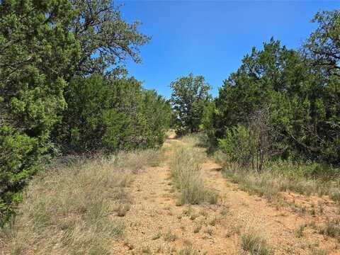 Tbd CR 102, Santa Anna, TX 76878