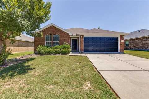 3520 Vicki Lane, Balch Springs, TX 75180