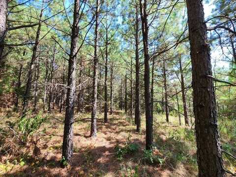 2 TBD Poteau Mountain, Heavener, OK 74937