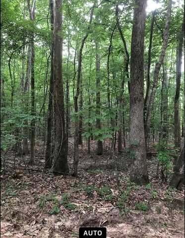 0 pickering, florence, MS 39073