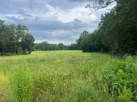 60 Acres, Grenda County, MS 38922
